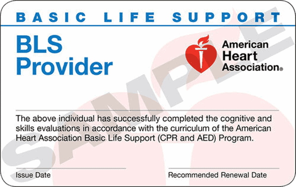 American Heart Association BLS CPR Certification Class